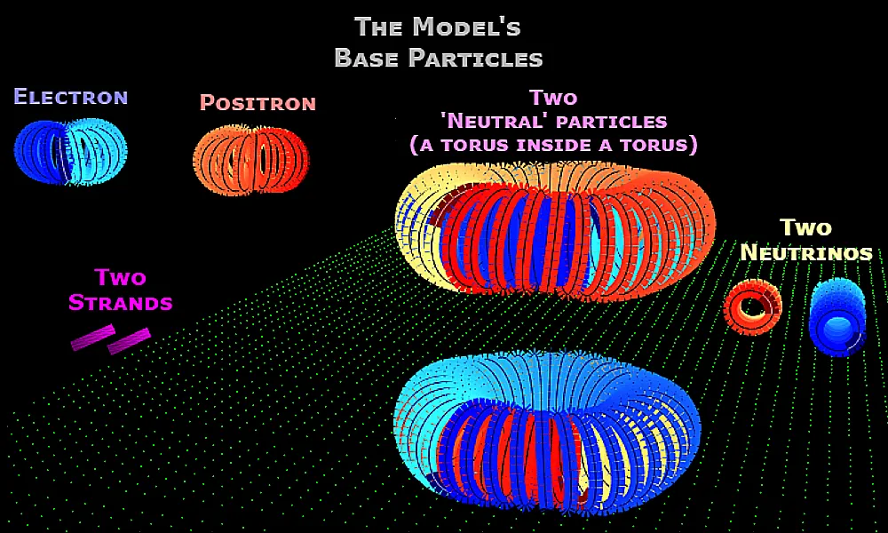 image of the model's base particles